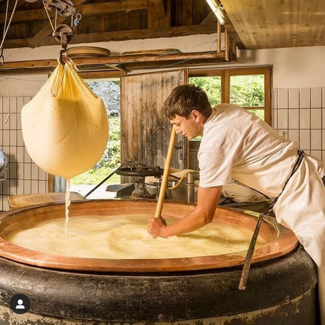 Making fresh cheese with milk